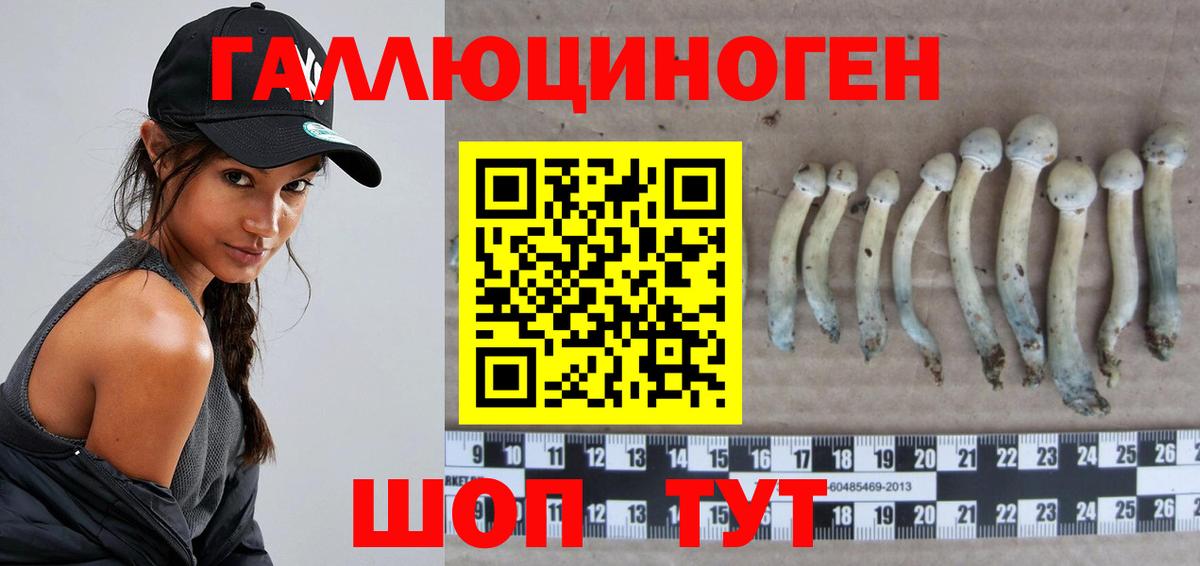 Галлюциногенные грибы Psilocybe  Вход с VPN  Псилоцибиновые грибы ЛСД  Киреевск 
